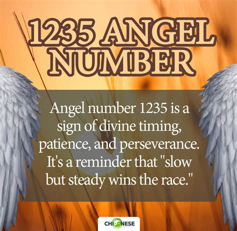 1235 angel number|1235 Angel Number Meaning (Fully Explained)